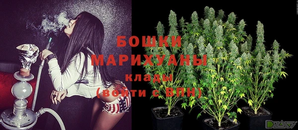 дурь Горно-Алтайск