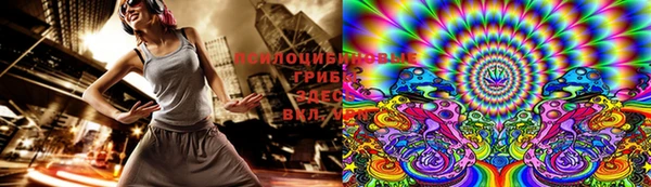 дурь Горно-Алтайск