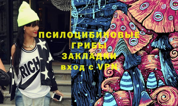 дурь Горно-Алтайск