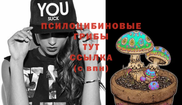 экстази Горняк