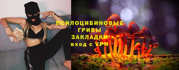 экстази Горняк