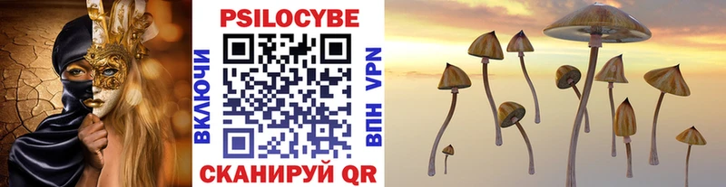 Псилоцибиновые грибы Psilocybe  Москва 