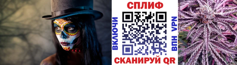 Каннабис SATIVA & INDICA Москва